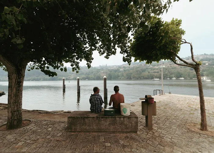 Casinha Do Douro, Cinfaes Holiday home *